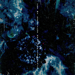 FCww废柴视频网最新版更新内容
