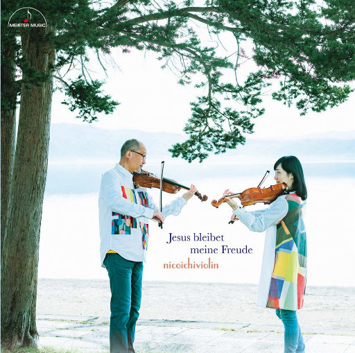 FCww废柴视频网最新版更新内容
